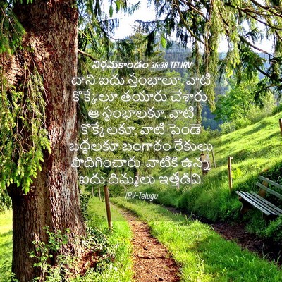 Picture 04 - నిర్గమకాండం 36:38 TELIRV - దాని ఐదు స్తంభాలూ, - Bible Verse Picture