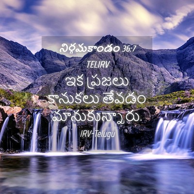 Picture 04 - నిర్గమకాండం 36:7 TELIRV - ఇక ప్రజలు కానుకలు - Bible Verse Picture