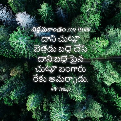 Picture 04 - నిర్గమకాండం 37:12 TELIRV - దాని చుట్టూ - Bible Verse Picture