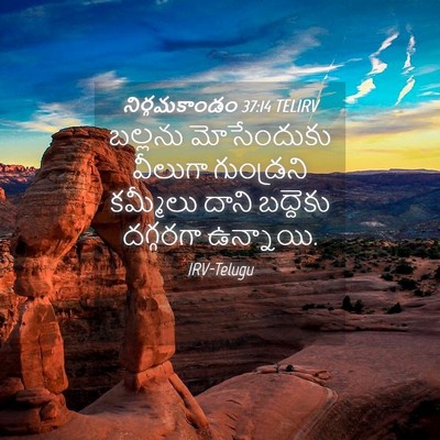 Picture 04 - నిర్గమకాండం 37:14 TELIRV - బల్లను మోసేందుకు - Bible Verse Picture
