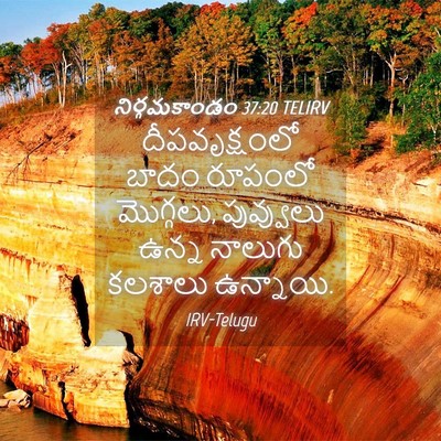 Picture 04 - నిర్గమకాండం 37:20 TELIRV - దీపవృక్షంలో బాదం - Bible Verse Picture