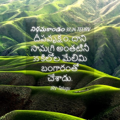 Picture 04 - నిర్గమకాండం 37:24 TELIRV - దీపవృక్షం, దాని - Bible Verse Picture
