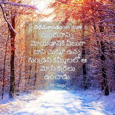 Picture 04 - నిర్గమకాండం 37:5 TELIRV - మందసాన్ని - Bible Verse Picture