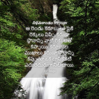 Picture 04 - నిర్గమకాండం 37:9 TELIRV - ఆ రెండు కెరూబులు - Bible Verse Picture