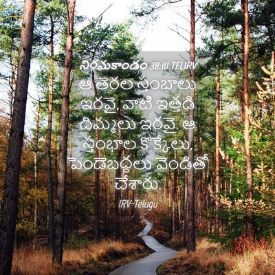 Picture 04 - నిర్గమకాండం 38:10 TELIRV - ఆ తెరల స్తంభాలు - Bible Verse Picture