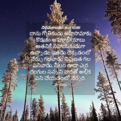 Picture 04 - నిర్గమకాండం 38:23 TELIRV - దాను గోత్రికుడు - Bible Verse Picture
