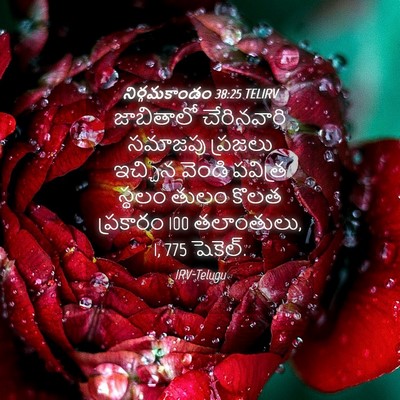Picture 04 - నిర్గమకాండం 38:25 TELIRV - జాబితాలో - Bible Verse Picture