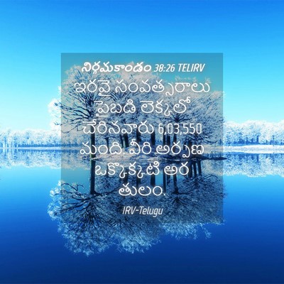 Picture 04 - నిర్గమకాండం 38:26 TELIRV - ఇరవై సంవత్సరాలు - Bible Verse Picture
