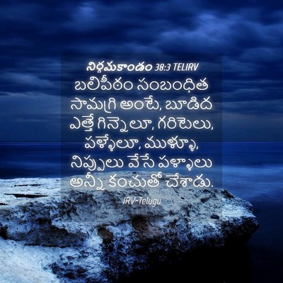 Picture 04 - నిర్గమకాండం 38:3 TELIRV - బలిపీఠం సంబంధిత - Bible Verse Picture