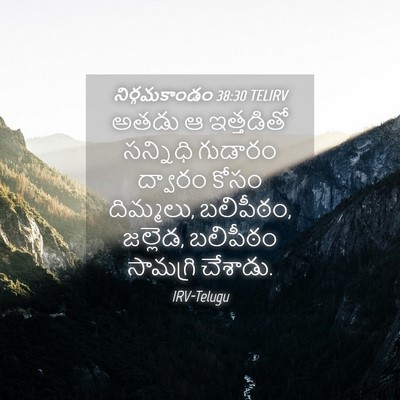 Picture 04 - నిర్గమకాండం 38:30 TELIRV - అతడు ఆ ఇత్తడితో - Bible Verse Picture
