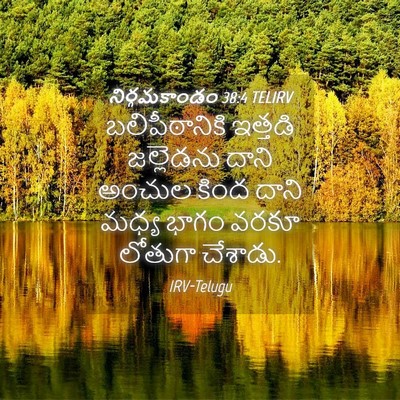 Picture 04 - నిర్గమకాండం 38:4 TELIRV - బలిపీఠానికి - Bible Verse Picture