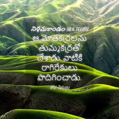 Picture 04 - నిర్గమకాండం 38:6 TELIRV - ఆ మోతకర్రలను - Bible Verse Picture