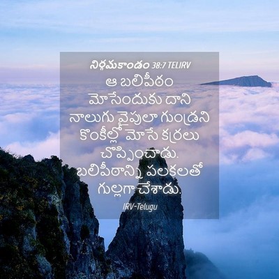 Picture 04 - నిర్గమకాండం 38:7 TELIRV - ఆ బలిపీఠం - Bible Verse Picture