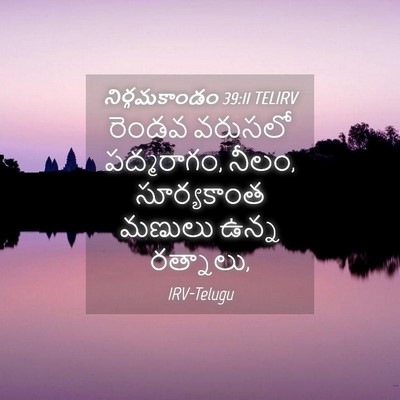 Picture 04 - నిర్గమకాండం 39:11 TELIRV - రెండవ వరుసలో - Bible Verse Picture
