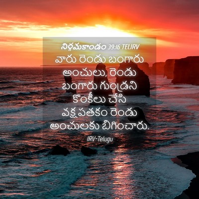 Picture 04 - నిర్గమకాండం 39:16 TELIRV - వారు రెండు బంగారు - Bible Verse Picture