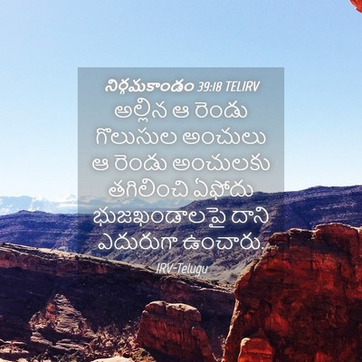 Picture 04 - నిర్గమకాండం 39:18 TELIRV - అల్లిన ఆ రెండు - Bible Verse Picture