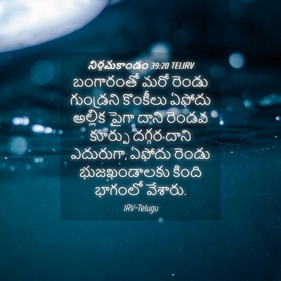 Picture 04 - నిర్గమకాండం 39:20 TELIRV - బంగారంతో మరో - Bible Verse Picture
