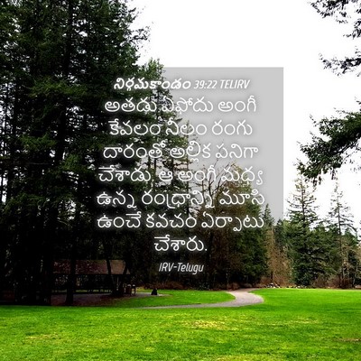 Picture 04 - నిర్గమకాండం 39:22 TELIRV - అతడు ఏఫోదు అంగీ - Bible Verse Picture