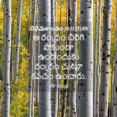Picture 04 - నిర్గమకాండం 39:23 TELIRV - ఆ రంధ్రం చిరిగి - Bible Verse Picture