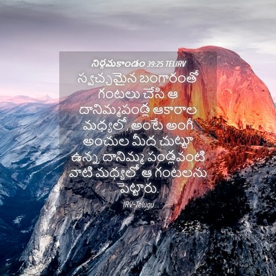 Picture 04 - నిర్గమకాండం 39:25 TELIRV - స్వచ్ఛమైన - Bible Verse Picture