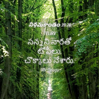 Picture 04 - నిర్గమకాండం 39:28 TELIRV - సన్నని నారతో - Bible Verse Picture