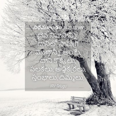 Picture 04 - నిర్గమకాండం 39:33 TELIRV - దైవ నివాసాన్ని, - Bible Verse Picture