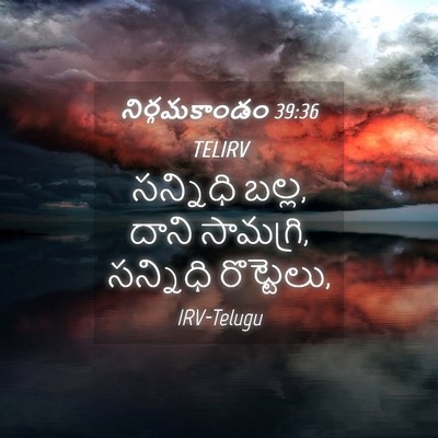 Picture 04 - నిర్గమకాండం 39:36 TELIRV - సన్నిధి బల్ల, దాని - Bible Verse Picture