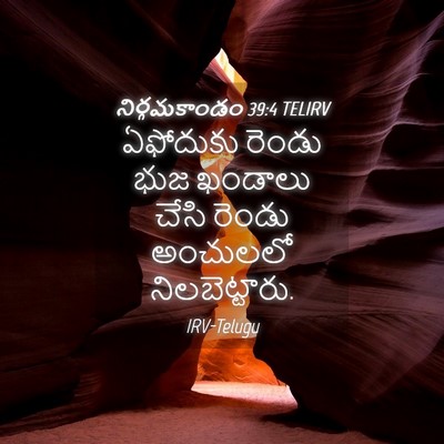 Picture 04 - నిర్గమకాండం 39:4 TELIRV - ఏఫోదుకు రెండు భుజ - Bible Verse Picture