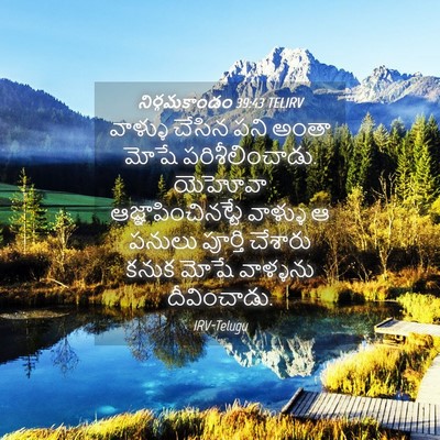 Picture 04 - నిర్గమకాండం 39:43 TELIRV - వాళ్ళు చేసిన పని - Bible Verse Picture