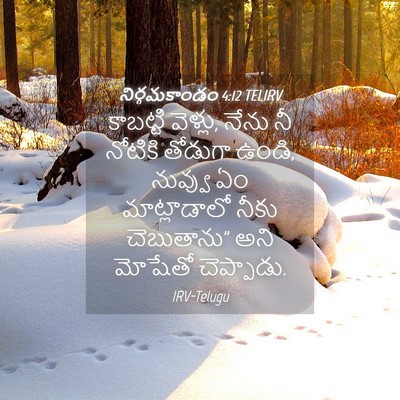 Picture 04 - నిర్గమకాండం 4:12 TELIRV - కాబట్టి వెళ్లు, - Bible Verse Picture