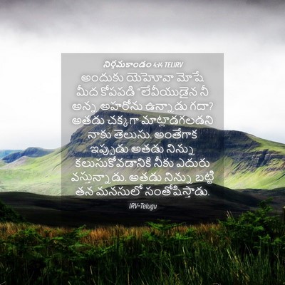 Picture 04 - నిర్గమకాండం 4:14 TELIRV - అందుకు యెహోవా - Bible Verse Picture