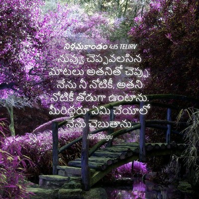 Picture 04 - నిర్గమకాండం 4:15 TELIRV - నువ్వు చెప్పవలసిన - Bible Verse Picture