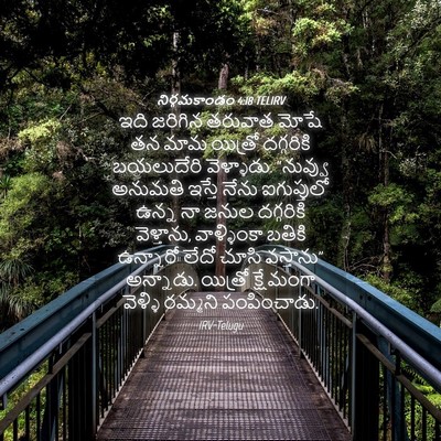 Picture 04 - నిర్గమకాండం 4:18 TELIRV - ఇది జరిగిన తరువాత - Bible Verse Picture