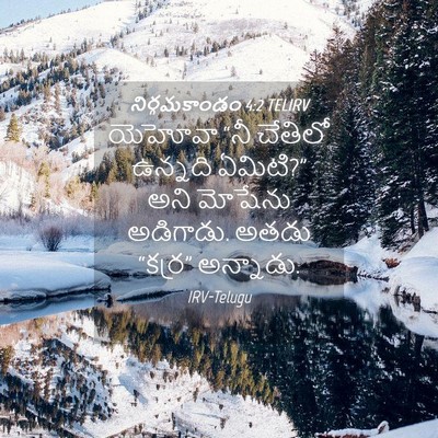 Picture 04 - నిర్గమకాండం 4:2 TELIRV - యెహోవా “నీ చేతిలో - Bible Verse Picture