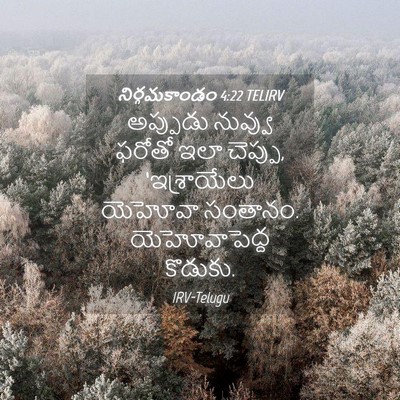 Picture 04 - నిర్గమకాండం 4:22 TELIRV - అప్పుడు నువ్వు - Bible Verse Picture
