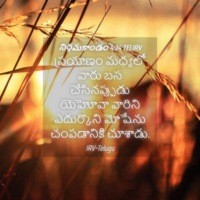 Picture 04 - నిర్గమకాండం 4:24 TELIRV - ప్రయాణం మధ్యలో - Bible Verse Picture