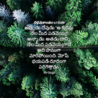 Picture 04 - నిర్గమకాండం 4:3 TELIRV - అప్పుడు దేవుడు “ఆ - Bible Verse Picture
