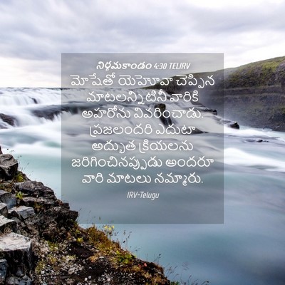 Picture 04 - నిర్గమకాండం 4:30 TELIRV - మోషేతో యెహోవా - Bible Verse Picture