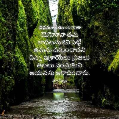 Picture 04 - నిర్గమకాండం 4:31 TELIRV - యెహోవా తమ బాధలను - Bible Verse Picture