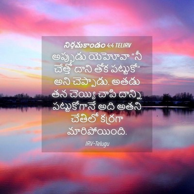 Picture 04 - నిర్గమకాండం 4:4 TELIRV - అప్పుడు యెహోవా - Bible Verse Picture