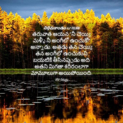 Picture 04 - నిర్గమకాండం 4:7 TELIRV - తరువాత ఆయన “నీ - Bible Verse Picture
