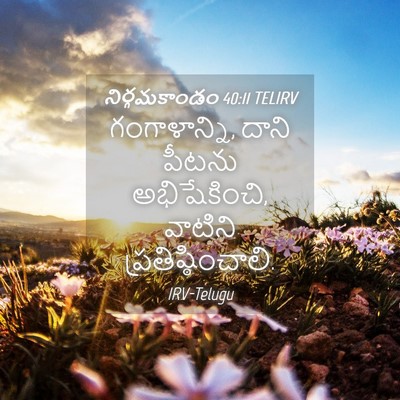 Picture 04 - నిర్గమకాండం 40:11 TELIRV - గంగాళాన్ని, దాని - Bible Verse Picture