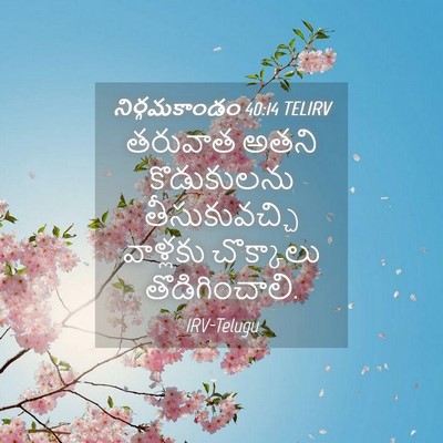 Picture 04 - నిర్గమకాండం 40:14 TELIRV - తరువాత అతని - Bible Verse Picture