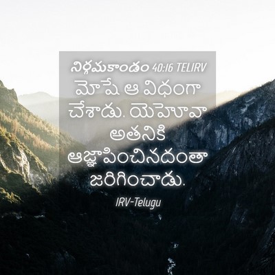 Picture 04 - నిర్గమకాండం 40:16 TELIRV - మోషే ఆ విధంగా - Bible Verse Picture