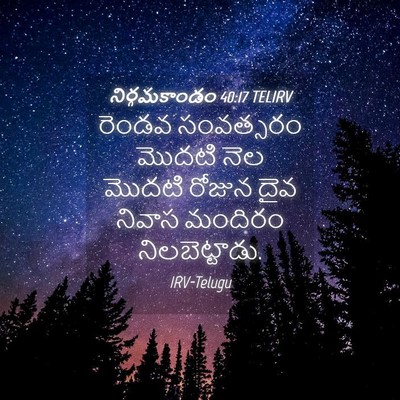 Picture 04 - నిర్గమకాండం 40:17 TELIRV - రెండవ సంవత్సరం - Bible Verse Picture