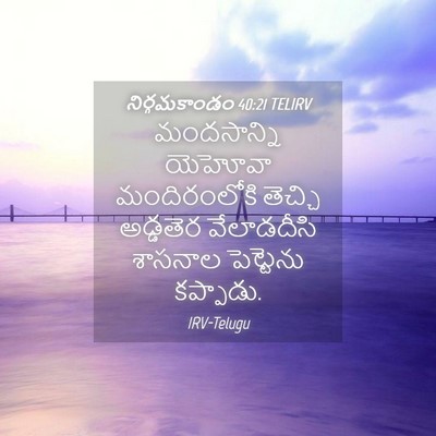 Picture 04 - నిర్గమకాండం 40:21 TELIRV - మందసాన్ని యెహోవా - Bible Verse Picture