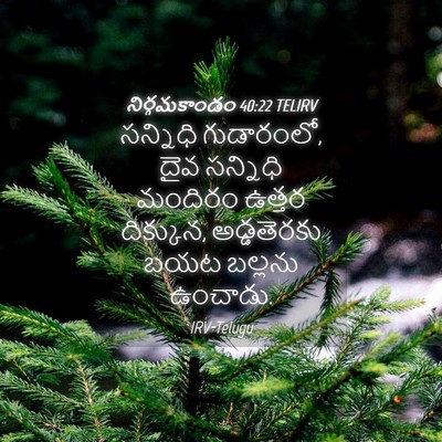 Picture 04 - నిర్గమకాండం 40:22 TELIRV - సన్నిధి గుడారంలో, - Bible Verse Picture