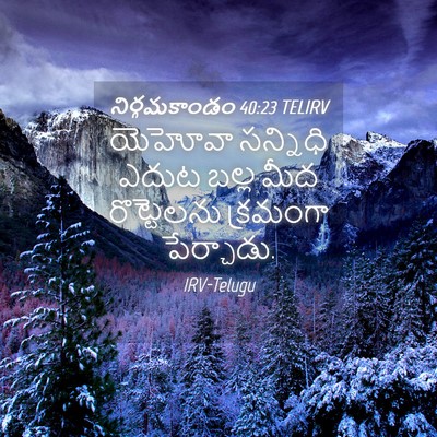 Picture 04 - నిర్గమకాండం 40:23 TELIRV - యెహోవా సన్నిధి - Bible Verse Picture