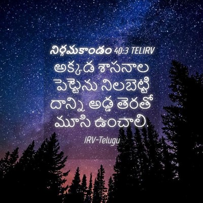 Picture 04 - నిర్గమకాండం 40:3 TELIRV - అక్కడ శాసనాల - Bible Verse Picture