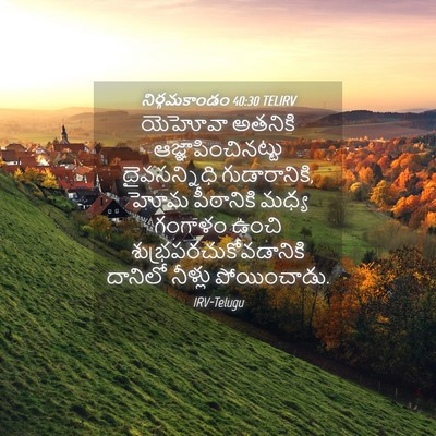 Picture 04 - నిర్గమకాండం 40:30 TELIRV - యెహోవా అతనికి - Bible Verse Picture